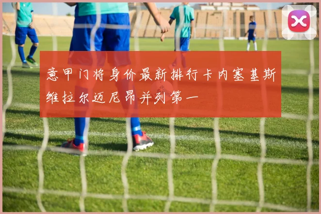 意甲门将身价最新排行卡内塞基斯维拉尔迈尼昂并列第一