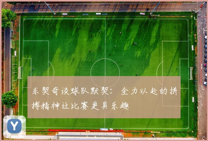 东契奇谈球队默契：全力以赴的拼搏精神让比赛更具乐趣