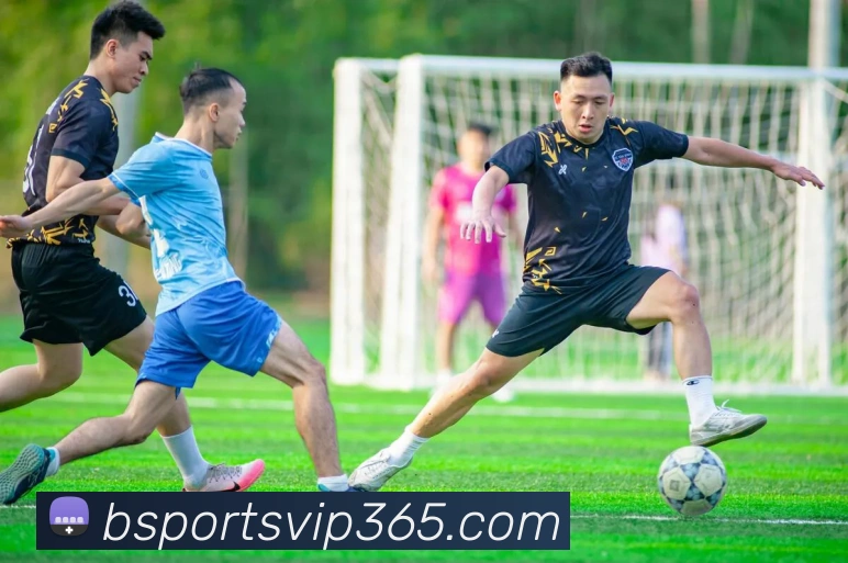 b体育平台生态图